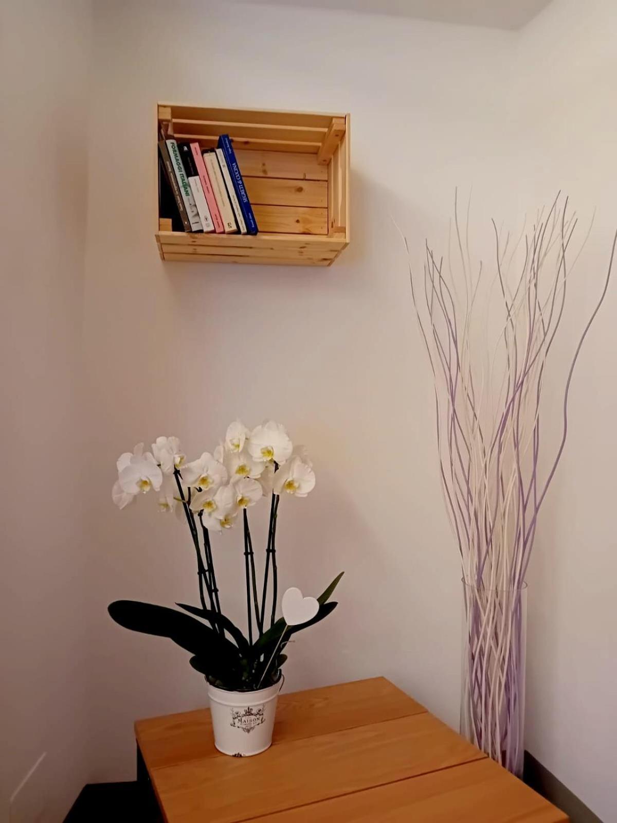 דירות אורטה סאן ג'יוליו Casa Longhi מראה חיצוני תמונה